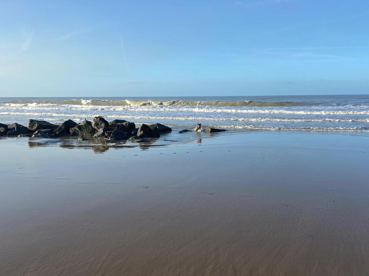 Ruim Zonnig Appartement Op 50M Van Strand Ostend Exterior foto